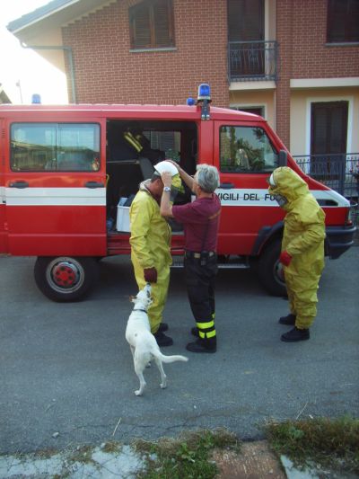 Vestizione Pompieri Calabroni Novello